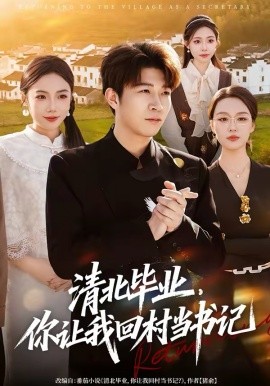 清北毕业，你让我回村当书记