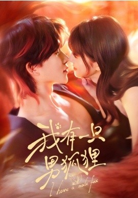我有一只男狐狸